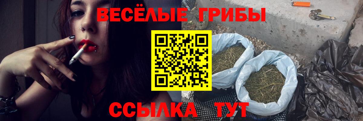 Галлюциногенные грибы ЛСД  Псилоцибиновые грибы ЛСД  Братск  Вход с VPN 